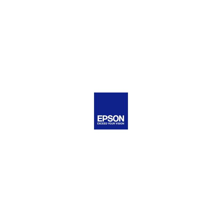 EPSON cartridge T5801 photo black (80ml)