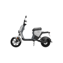 Segway eScooter B110S